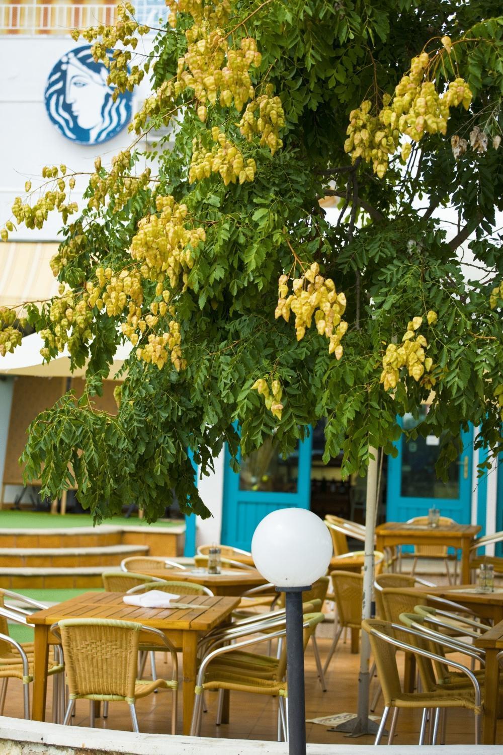 Kaliopa Hotel Albena Zewnętrze zdjęcie